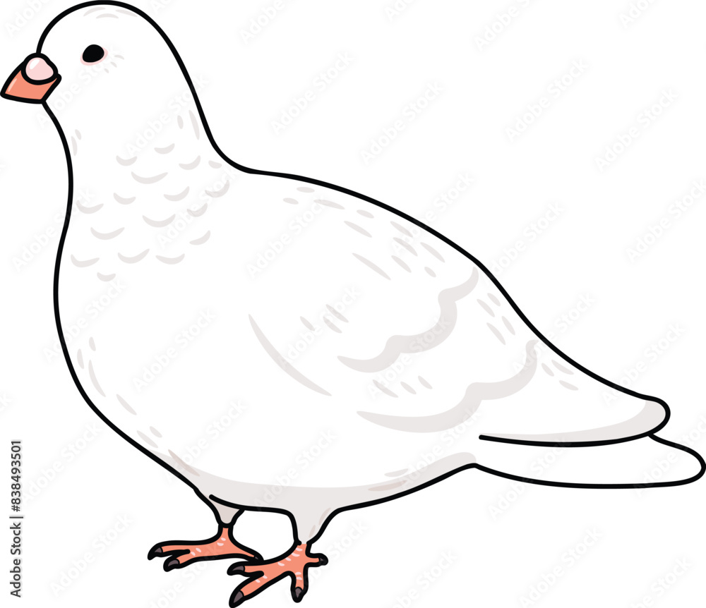 Simple and adorable outlined white Dove illustration Simple and adorable outlined white Dove illustration