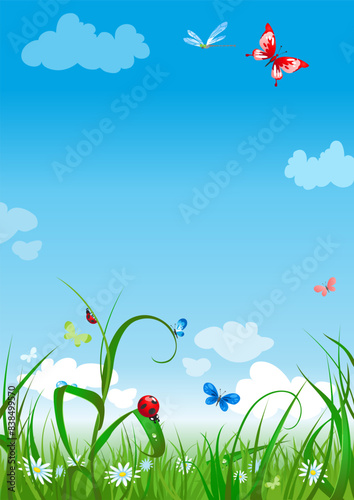 summer meadow background