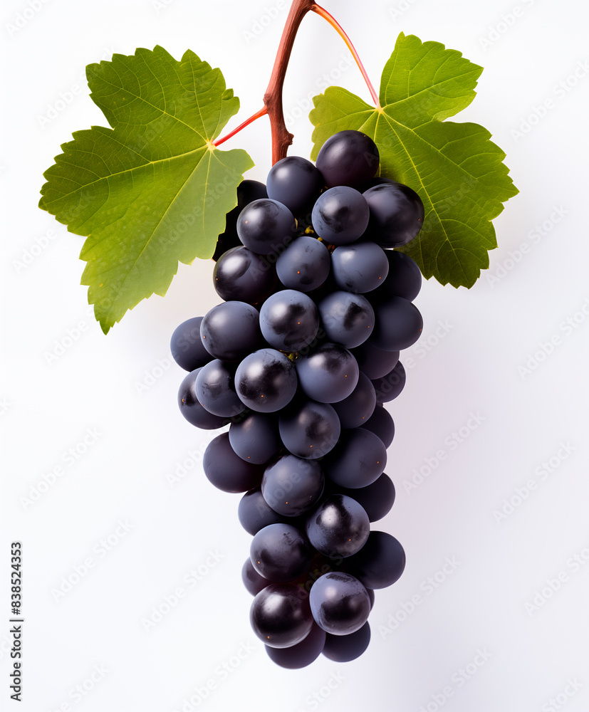 Fototapeta premium Blue grape bunch with leaves isolated on white background