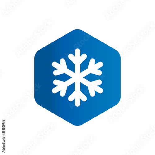 Keep frozen food vector label. Snowflake flat icon symbol on blue hexagon frame for packages, stickers, web, badges, logo, banner, poster.