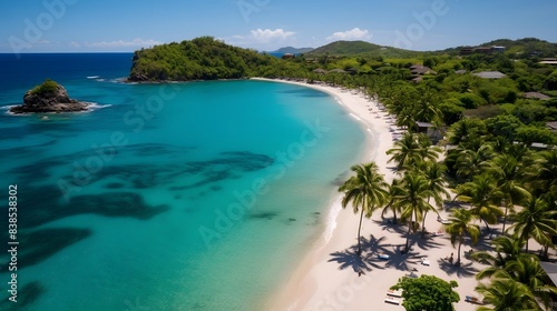 Aerial view of a beautiful tropical beach with palm trees and sand