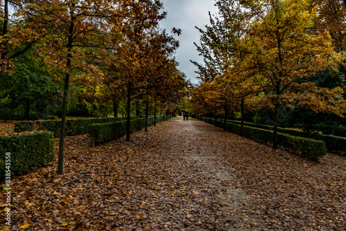 photography of the capriccio park in madrid