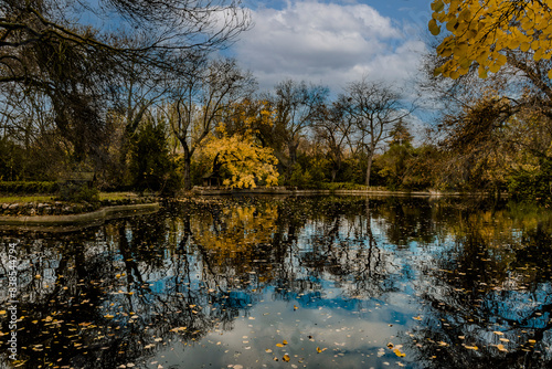 photographs of landscapes and nature with trees