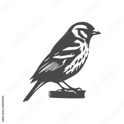 bird on a branch with berries