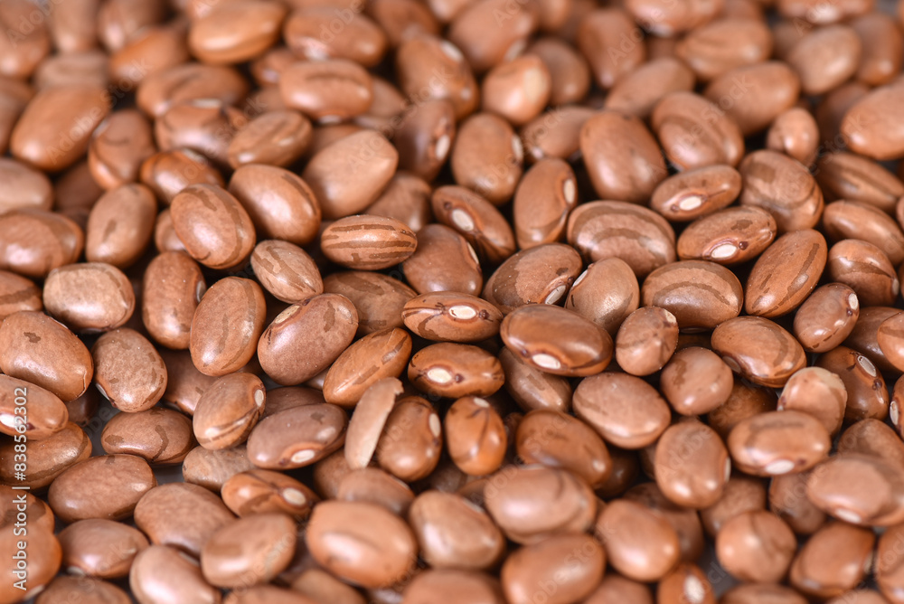 raw bean grain seeds for food natural healthy food seed for planting raw bean grain seeds for food natural healthy food seed for planting