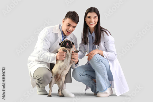 Young veterinarians with pug dog on light background