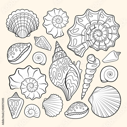 Shells coloring book page for adult. Hand drawn artwork. Seashells background of isolated elements. Black and white vector illustration