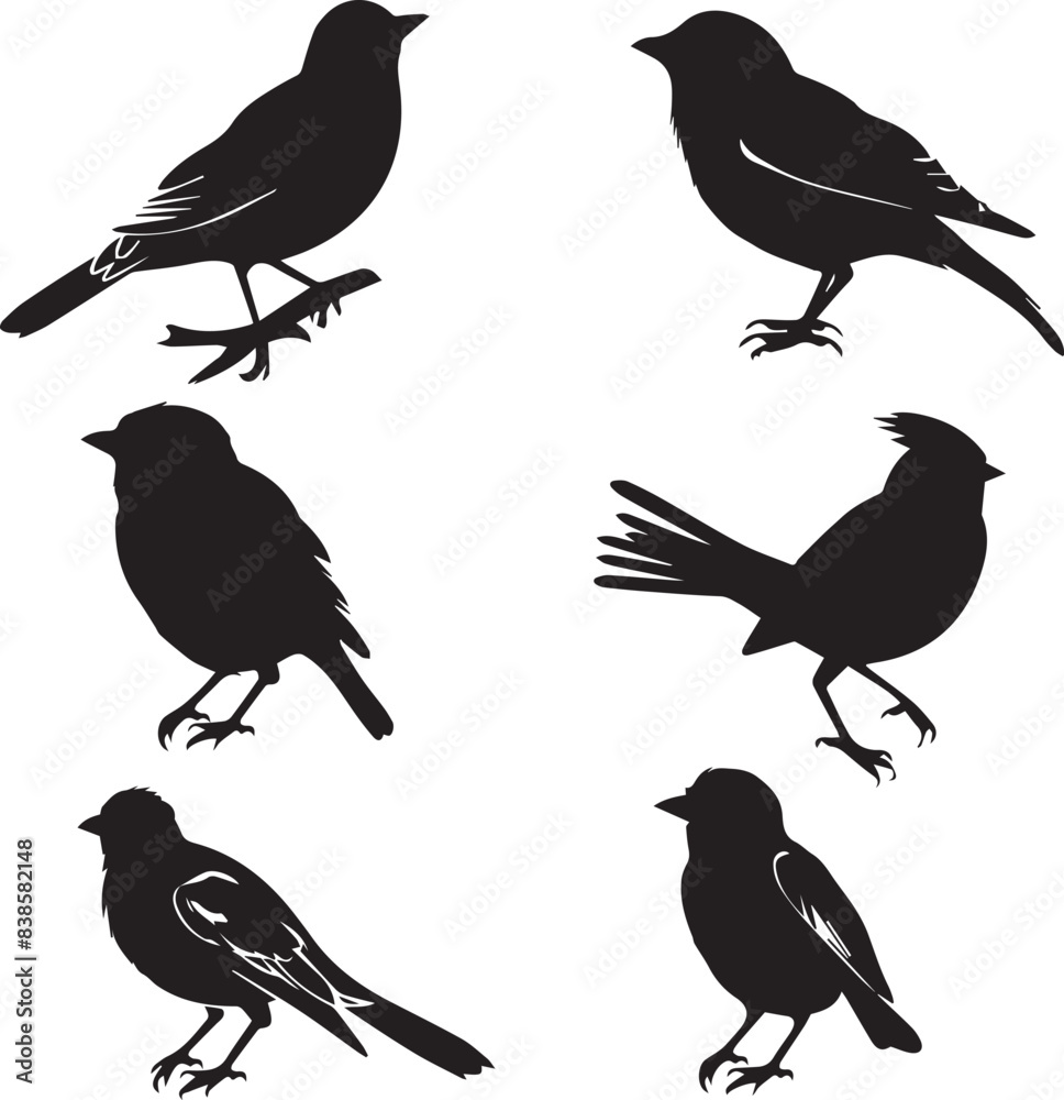 Fototapeta premium Set of black bird silhouettes Vector Illustration elements for design on White Background 