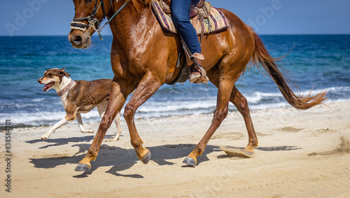 Riding a horse on a beach with a dog.