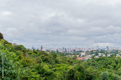 Panoramic view of a city with buildings and skyscrapers from a park full of trees  Curitiba Brazil.