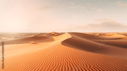 Panorama of sand dunes in the desert. 3d render