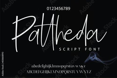 signature Font Calligraphy Logotype Script Brush Font Type Font lettering handwritten