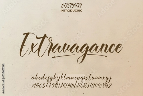 signature Font Calligraphy Logotype Script Brush Font Type Font lettering handwritten
