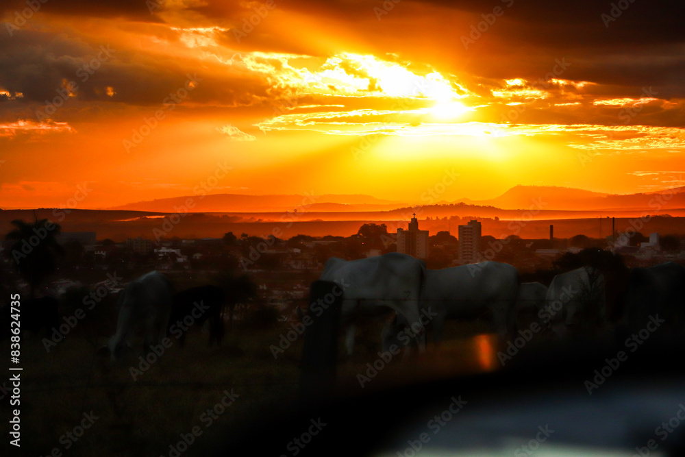 Obraz premium orange sunset seen from the rural area