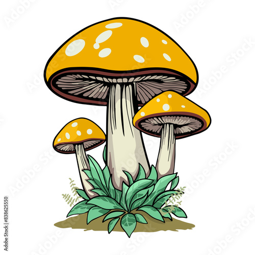 yellow mushroom illustration