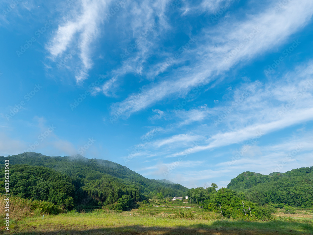 新緑の山々が広がる里山の風景