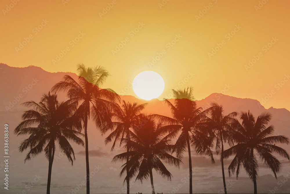 Beautiful golden sunset and palm tree silhouette Beautiful golden sunset and palm tree silhouette
