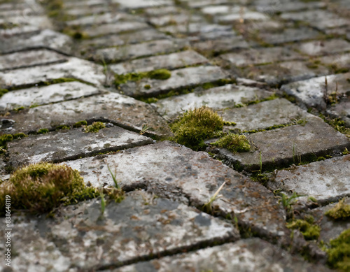 Old stone pavement with moss and green grass on it. Selective focus.
