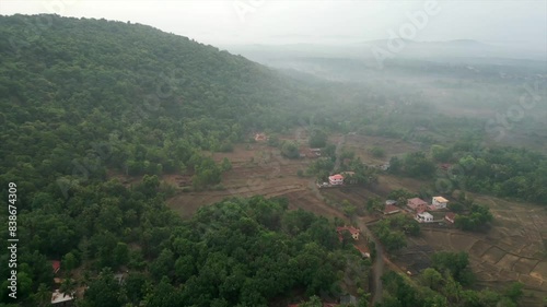 greenery forest bird eye view in konkan photo