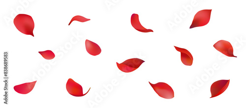 Beautifully dancing petals vector material