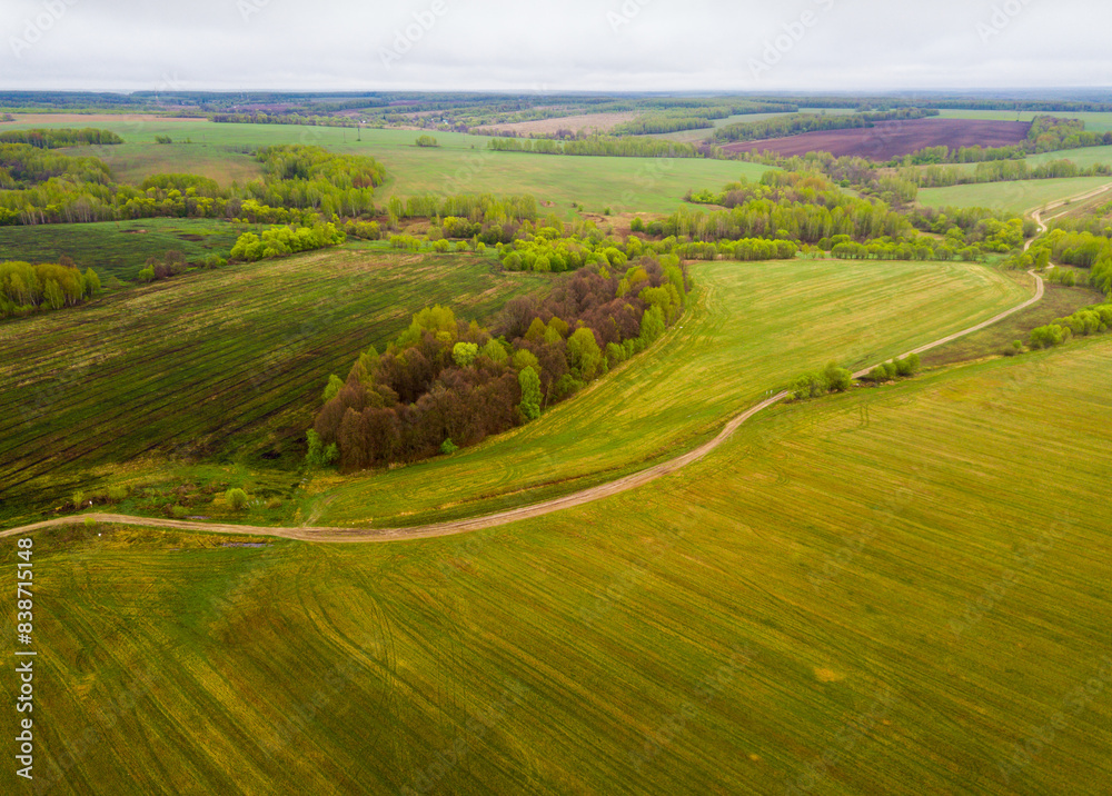 Picturesque landscape of green fields and meadows of Central Russia on cloudy may day
