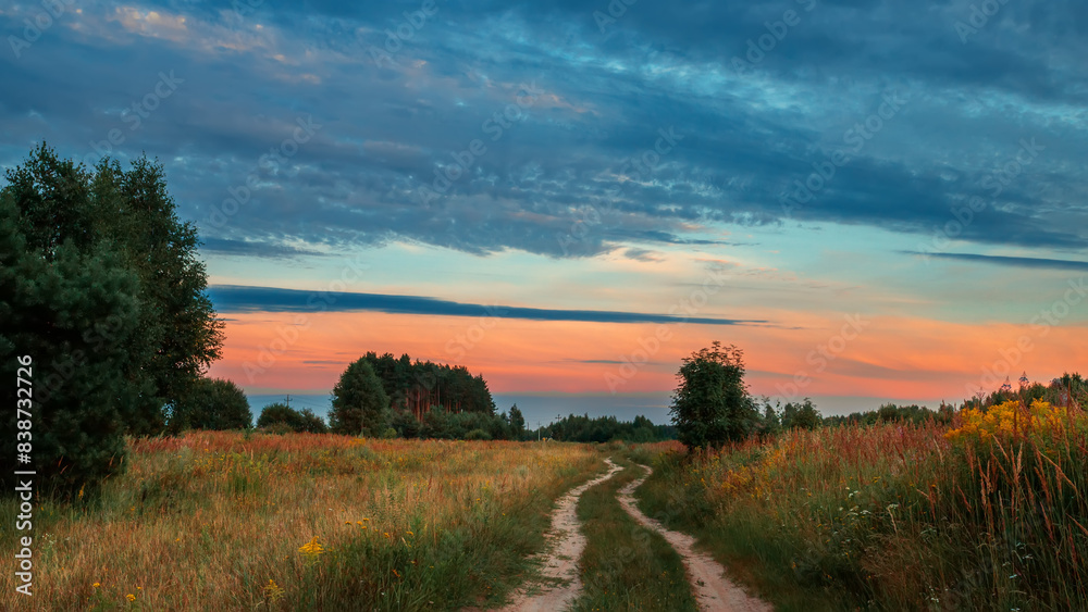 Fototapeta premium Sunrise or sunset sun over forest. Landscape in morning. Golden hour in nature. Summer landscape.
