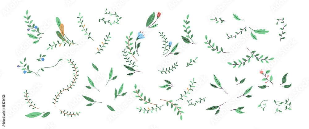 Plants branches with leaves and flowers 2D cartoon vector objects set. Lush spring flora flat color elements on white background