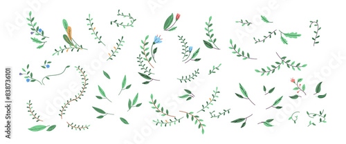 Plants branches with leaves and flowers 2D cartoon vector objects set. Lush spring flora flat color elements on white background