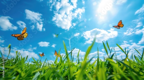 Young green juicy grass and fluttering butterflies in nature against blue spring sky with white clouds. Spring nature panorama 