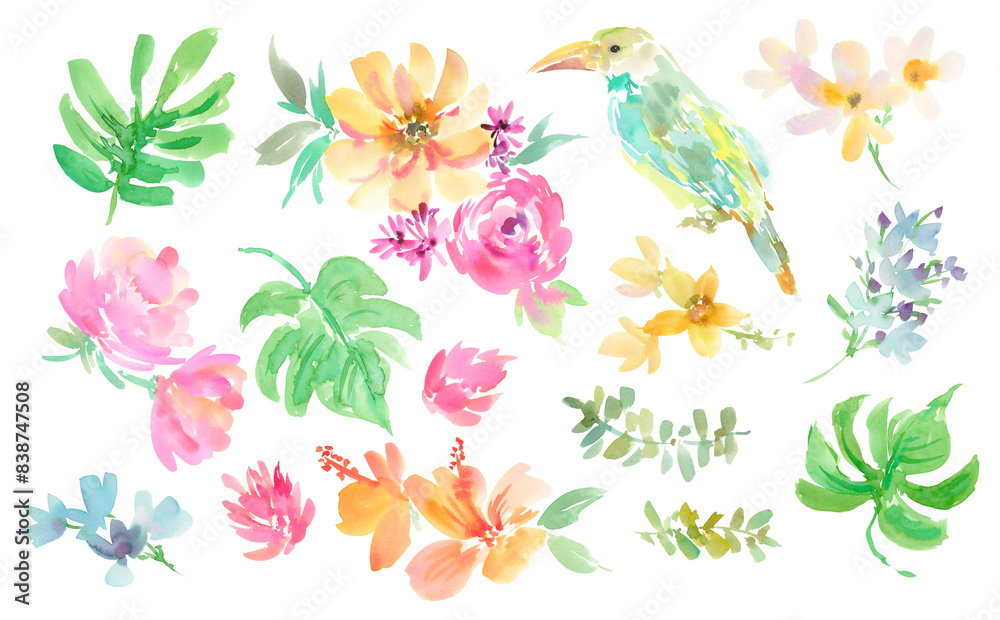 Set of transparent background illustrations of hibiscus, tropical plants, and tucan painted in watercolor Set of transparent background illustrations of hibiscus, tropical plants, and tucan painted in watercolor