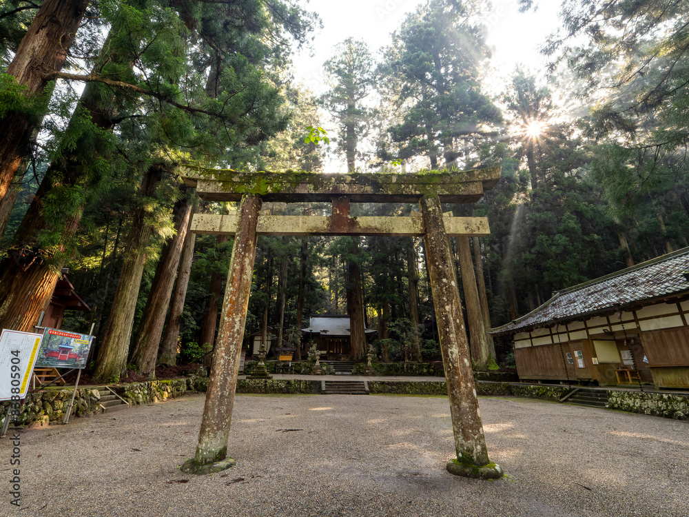 朝日が射し込む龍穴神社の鳥居 朝日が射し込む龍穴神社の鳥居