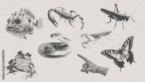 retro halftone effect, for grunge punk y2k collage art. Vector design in stipple half tone illustration for magazine, banner