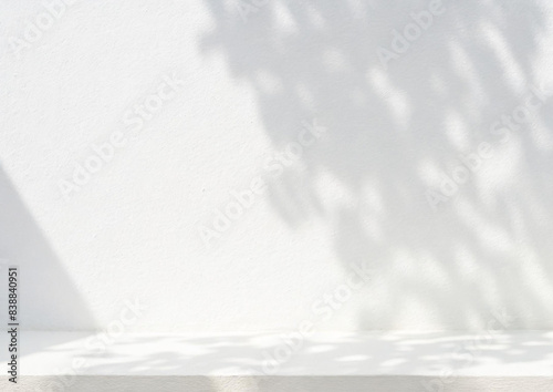 光の入った白い壁   © fii