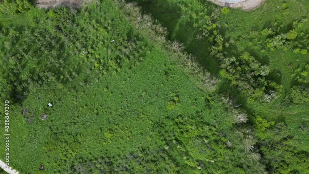 A mountainous area with different green vegetation. The view from the drone. A mountainous area with different green vegetation. The view from the drone.