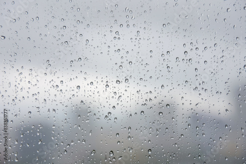 雨