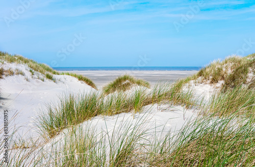 Dunes landscape  East Friesland  Lower Saxony  Germany  Europe.