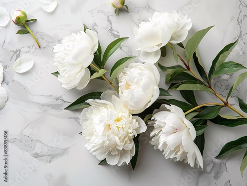 A delicate arrangement of fresh white peony flowers on a light gray table background. The image captures the intricate beauty of the peonies with plenty of empty space, suitable for adding personal