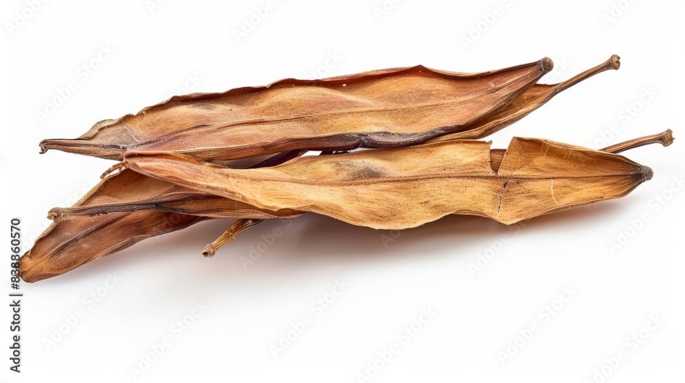 Fototapeta premium Dried Siamese neem tree seeds, isolated on white, used in health remedies