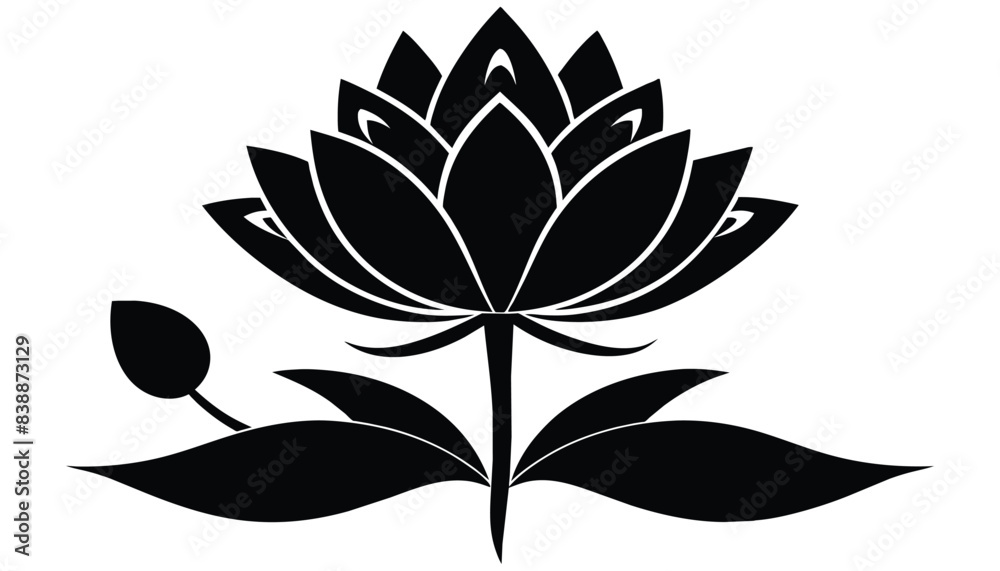 Obraz premium A beautiful fresh lotus flower silhouette