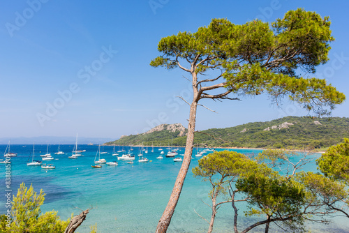 Scenic view of Notre Dame beach in Porquerolles island in south of France during summer