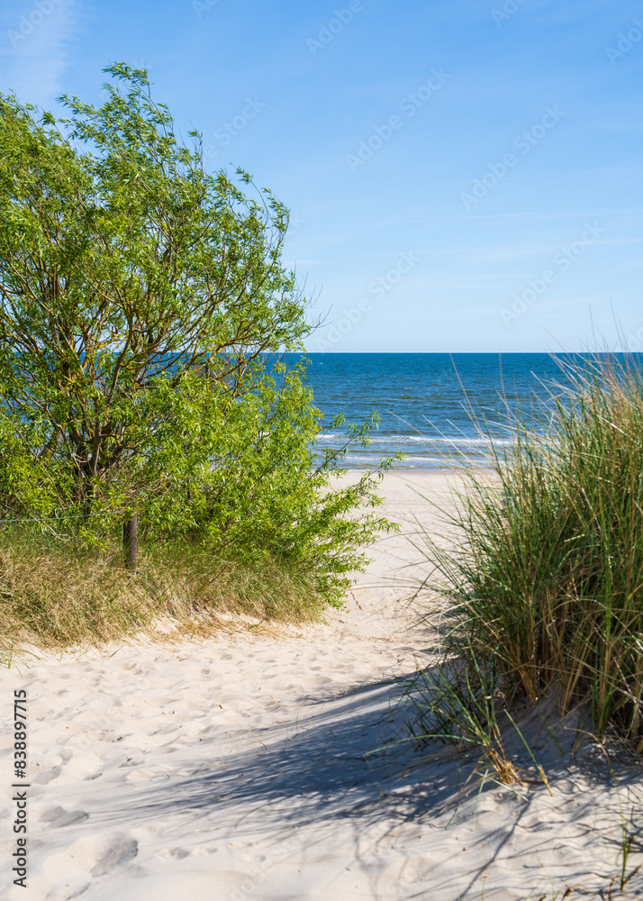 Baltic sea beach without people, coastal dunes with beach grass, Usedon island, Germany Baltic sea beach without people, coastal dunes with beach grass, Usedon island, Germany