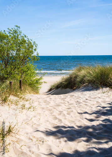 Fototapeta Naklejka Na Ścianę i Meble -  Calm view across the dunes to sea. Baltic Sea.