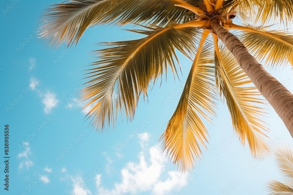 Summer holidays travel concept. Palm trees against blue sky Summer holidays travel concept. Palm trees against blue sky