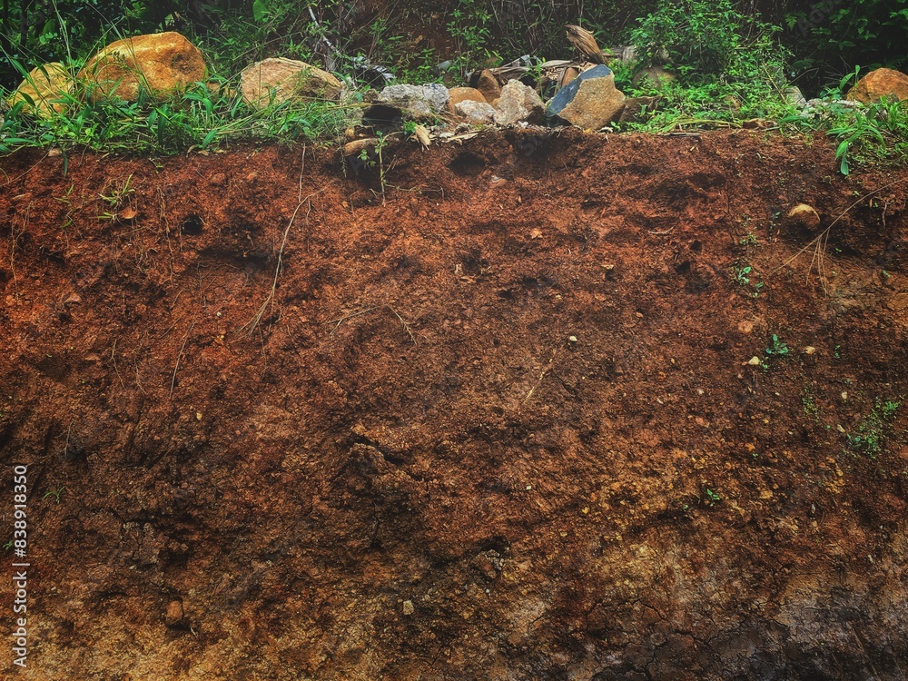 Fototapeta premium Brown soil texture with some rock and wild plant on the top