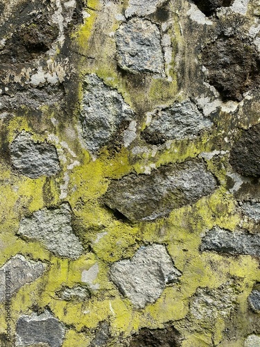 A stone wall attached by cement, covered by moss