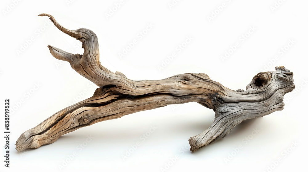 Obraz premium piece of driftwood Isolated on white background. concept of object waste for designer.