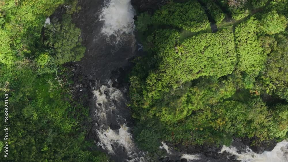 Top down aerial along water stream running through green Hawaii landscape Top down aerial along water stream running through green Hawaii landscape