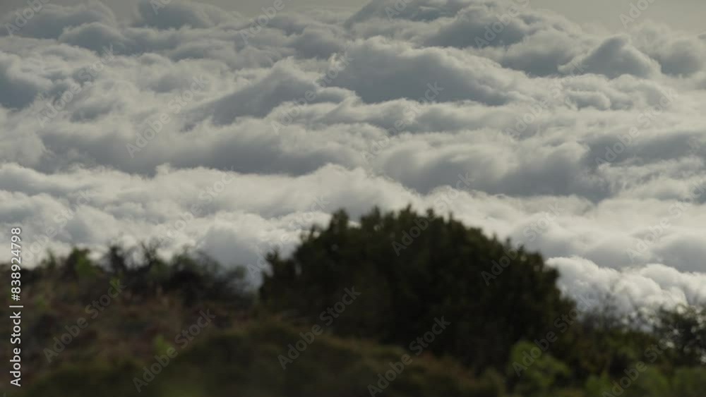 Timelapse of fluffy clouds moving, seen from bushy hill above on Maui Timelapse of fluffy clouds moving, seen from bushy hill above on Maui