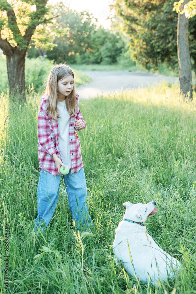 Fototapeta premium A child with a dog in nature