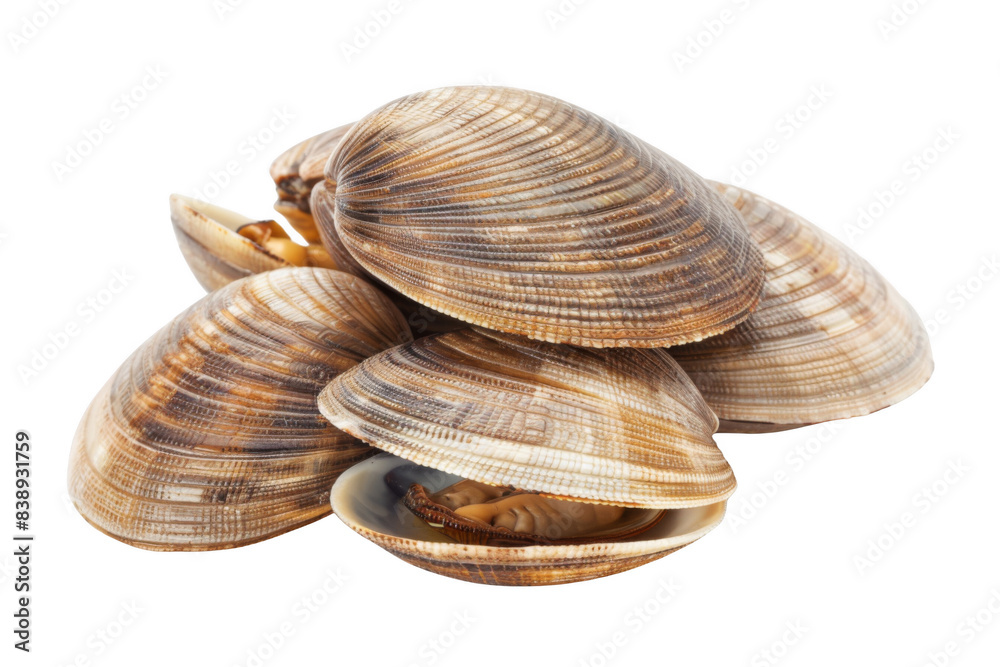 A pile of clams with their shells open A pile of clams with their shells open